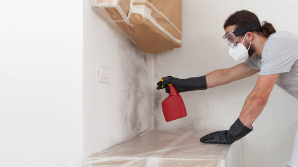 Professional Black Mold Remediation technician working in Thomasville, PA